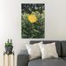 Gracie Oaks Yellow Sunflower In Bloom During Daytime 49 - 1 Piece Rectangle Graphic Art Print On Wrapped Canvas in Green/Yellow | Wayfair