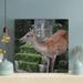 Loon Peak® Brown Deer On Gray Concrete Steps - 1 Piece Square Graphic Art Print On Wrapped Canvas in Brown/Gray | 16 H x 16 W x 2 D in | Wayfair