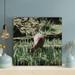 Loon Peak® Brown Deer Eating Grass - 1 Piece Square Graphic Art Print On Wrapped Canvas in Green | 16 H x 16 W x 2 D in | Wayfair