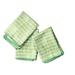 East Urban Home Mighty Minis Dish Cloth Microfiber in Green | 13 H x 13 W in | Wayfair BF3BE36E3EDE4E84B40851C2E89840C6