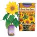 Winston Brands Sunflower Growing Kit | 3.75 H x 2.5 W x 2.5 D in | Wayfair 64180