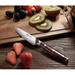 Paudin P7 Plume Luxe 3.5-inch 67 Layers Damascus Steel Paring Knife 62 RCH Fruit Knife Damascus/Plastic | Wayfair PD8BMC8CRP07