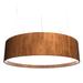 Accord Lighting Accord Studio Cylindrical 31 Inch LED Large Pendant - 204LED.07