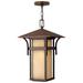 Harbor 19"H Brown Outdoor Hanging Light by Hinkley Lighting