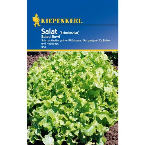 KIEPENKERL® Salat Schnittsalat Salad Bowl - Gemüsesamen