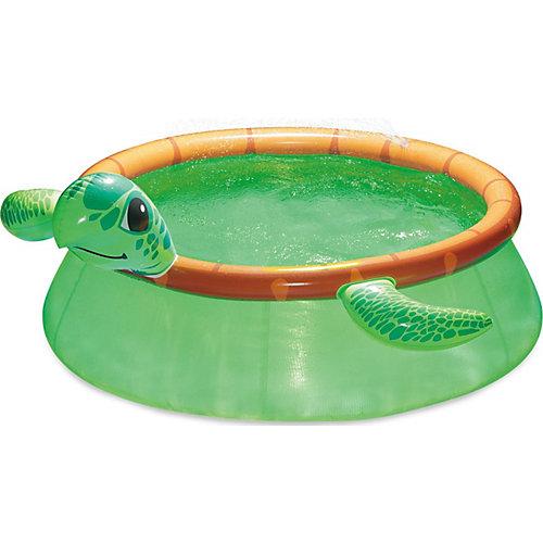 Pool Schildkröte grün