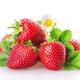 Strawberry Plants - Mixed Selection - 5 x Large Plants in 9cm Pots