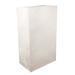 LumaBase Luminaria Flame Resistant Bags (100 Ct) in White | 11 H x 6 W x 3.5 D in | Wayfair 410100FR
