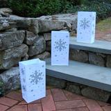 The Holiday Aisle® Paper Luminaria Bags, Snowflake | 11 H x 6 W x 3.5 D in | Wayfair 0A5CF625454B40AF8EC89E53E1B2C7FD