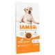 12kg Adult Large Dog Chicken IAMS for Vitality Dry Dog Food