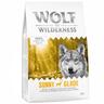 1kg Adult Venison Wolf of Wilderness Dry Dog Food