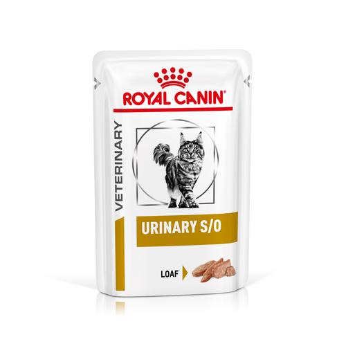 48x85g Urinary S/O Royal Canin Veterinary Diet Wet Cat Food | Loaf in Sauce | LP 34