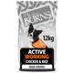 12kg Active Working Chicken & Rice Burns Dry Dog Food