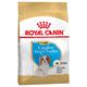 1.5kg Puppy Cavalier King Charles Spaniel Royal Canin Dry Dog Food