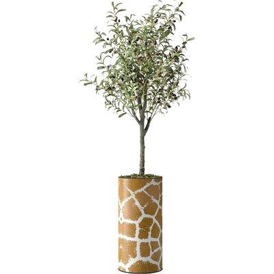 Now For The Primrue Artificial Tree In Contemporary Geometric Planter Fake Olive Indoor Outdoor Home Decoration Silk Plastic Brown Wayfair Accuweather - Outside Home Decoration