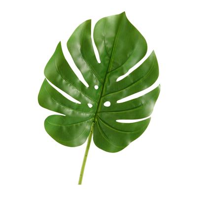 Small Split Leaf Philo (Set of 3)
