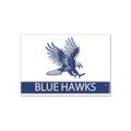 WinCraft Dickinson State Blue Hawks 2.5'' x 3.5'' Primary Fridge Magnet