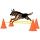 Vidaxl - Ensemble d'obstacles d'activit� pour chien Orange et jaune