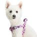 Essentials Light Purple Floral Adjustable Dog Harness, Large