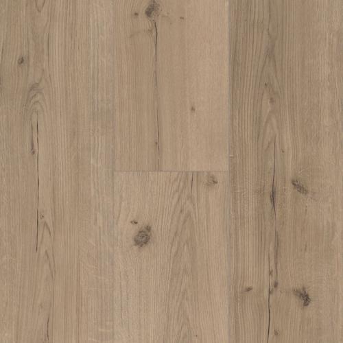 Parador Vinyl Designboden Basic 5.3 Eiche Infinity Grau Holzdekor Landhausdiele