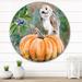 East Urban Home Barn Owl Sitting On A Pumpkin - Farmhouse Metal Circle Wall Art Metal in Blue/Green/Orange | 23 H x 23 W x 1 D in | Wayfair