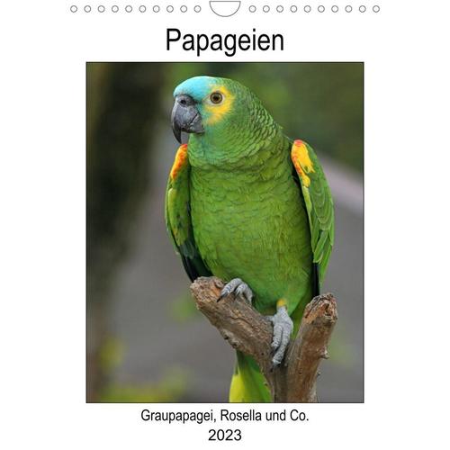 Papageien - Graupapagei, Rosella und Co. (Wandkalender 2023 DIN A4 hoch)