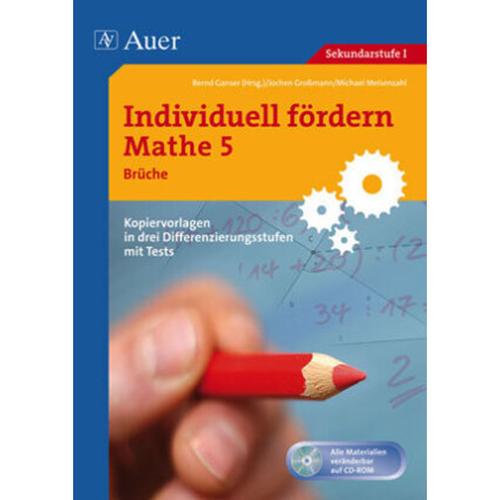 Individuell Fördern Mathe: Individuell Fördern Mathe 5 Brüche, M. 1 Cd-Rom - Großmann, Meisenzahl, Kartoniert (TB)