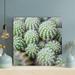 Foundry Select Green Cactus Plant In Close Up Photography 25 - 1 Piece Square Graphic Art Print On Wrapped Canvas in Green/White | Wayfair