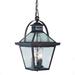 Gracie Oaks Josuah 16.5" Outdoor Hanging Lantern Glass/Metal/Steel in Brown | 16.5 H x 9.75 W x 9.75 D in | Wayfair