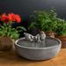 Winston Porter Chrisalyn Concrete Songbird Fountain | 6.5 H x 14.25 W x 14.25 D in | Wayfair B6345236B19445379571D9800F697BE7