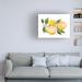 Rosalind Wheeler Kathleen Parr Mckenna "Citrus Garden III" Canvas Art Canvas in White/Black | 35 H x 47 W x 2 D in | Wayfair