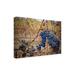 Latitude Run® by Susan Vizvary Photography - Wrapped Canvas Photograph Canvas, Cotton in Blue/Brown | 12 H x 19 W x 2 D in | Wayfair