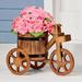Arlmont & Co. Wood Tricycle Planter Garden Statues Wood in Brown | 9.38 H x 7 W x 12.75 D in | Wayfair AE556494352F4F6595C64B45965F7752