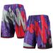 Men's Mitchell & Ness Purple Toronto Raptors Hardwood Classics 1998 Hyper Hoops Swingman Shorts