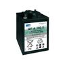 GF06180V - 6v 180Ah piombo Gel Sonnenschein Exide batteria