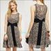 Anthropologie Dresses | Anthropologie Floreat Windswept Lace Dress Xs 0 | Color: Black/Tan | Size: Xs