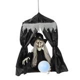 The Holiday Aisle® Hanging Animated Witch in a Box Halloween Decoration, Crystal | 6 H x 8 W x 2 D in | Wayfair 24605D4AD1B64867862DE194E0A66099