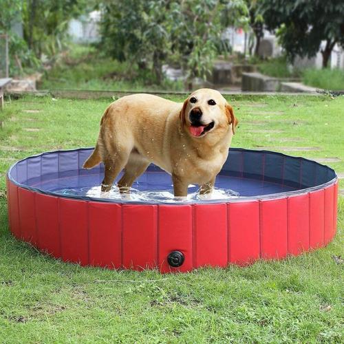 Hundepool Swimmingpool F¨¹r Hunde und Katzen Schwimmbecken Hund Planschbecken Hundebadewanne