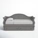 Birch Lane™ Delaria Open Side Daybed w/ Trundle - Twin Wood in Gray | 43.11 H x 41.53 W x 86.22 D in | Wayfair 3679401ECA7E4001BAB2F048D445FB8F