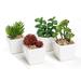 Primrue Set Of 4 Mini Assorted Artificial Succulents In Cube Pots Ceramic/Plastic | 2 H x 2 W x 2 D in | Wayfair 40B29C6B1F284C49ACD7BB1C2DB063A4