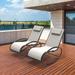 2-Piece Patio Iron Swing Oval Lounge Chair