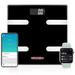 BESTCOSTY Weighing Scale, Glass in Black | 0.2 H x 11 W x 11 D in | Wayfair D010-ly2HX6V22-D