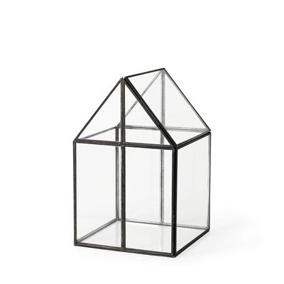 Sikes (Small) 6L x 6W x 10H Glass Terrarium