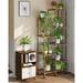 Arlmont & Co. Jaal Triangular Multi-Tiered Birch Plant Stand Wood/Solid Wood in Brown | 58 H x 11.75 D in | Wayfair