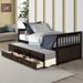 Red Barrel Studio® Modern Daybed w/ Trundle Bed & Storage Drawers, Twin Wood in Brown | 35.8 H x 43.53 W x 75.88 D in | Wayfair