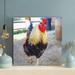 Gracie Oaks Brown & Yellow Rooster - 1 Piece Square Graphic Art Print On Wrapped Canvas in Gray/Red/Yellow | 12 H x 12 W x 2 D in | Wayfair