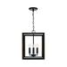 Capital Lighting Fixture Company Rowe 12 Inch Cage Pendant - 545441KD