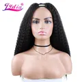 Lydia-U Part Afro Kinky Curly Long Hair Wig Heat Degree Synthetic 18in 03/Wigs for Women All