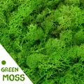 Mousse artificielle verte 40g fausses fleurs plantes vie éternelle mousse herbe pour la maison