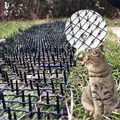 Polymères répulsif de jardinage pour chat pointes de piquants anti-dissuasif pour chat et chien